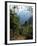 Jungle, Sierra Nevada, Colombia, South America-Jane O'callaghan-Framed Photographic Print