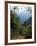 Jungle, Sierra Nevada, Colombia, South America-Jane O'callaghan-Framed Photographic Print