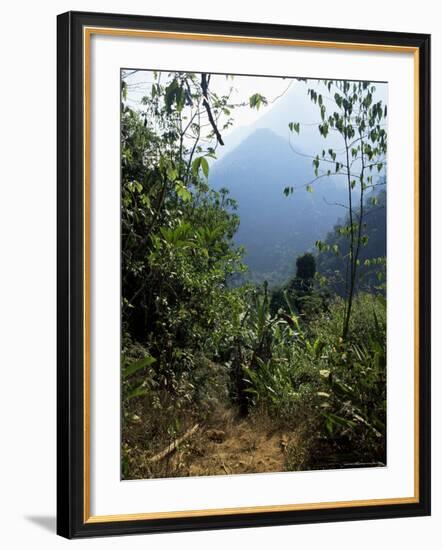 Jungle, Sierra Nevada, Colombia, South America-Jane O'callaghan-Framed Photographic Print