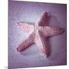 Jungle Starfish-null-Mounted Premium Giclee Print