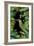 Jungle with Green Toucan-Andrea Haase-Framed Giclee Print