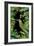 Jungle with Green Toucan-Andrea Haase-Framed Giclee Print