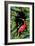 Jungle with Heron-Andrea Haase-Framed Giclee Print