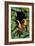 Jungle with Toucans-Andrea Haase-Framed Giclee Print