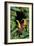 Jungle with Toucans-Andrea Haase-Framed Giclee Print