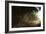 Jungle-Stephane Belin-Framed Art Print