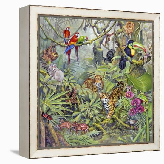 Jungle-Tim Knepp-Framed Premier Image Canvas