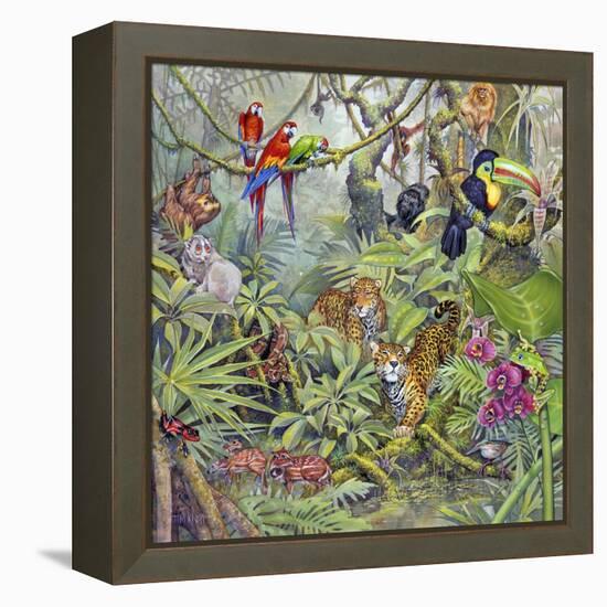 Jungle-Tim Knepp-Framed Premier Image Canvas