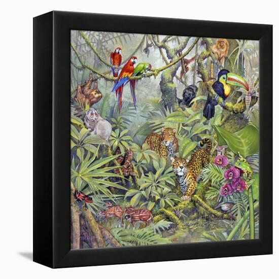 Jungle-Tim Knepp-Framed Premier Image Canvas