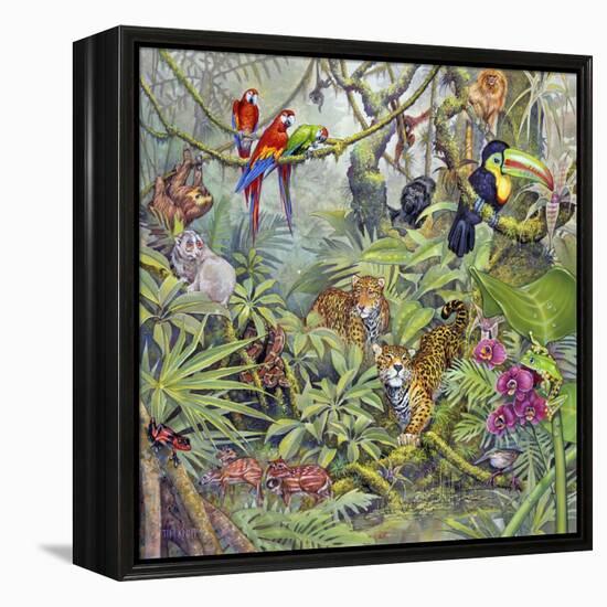 Jungle-Tim Knepp-Framed Premier Image Canvas