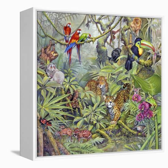 Jungle-Tim Knepp-Framed Premier Image Canvas