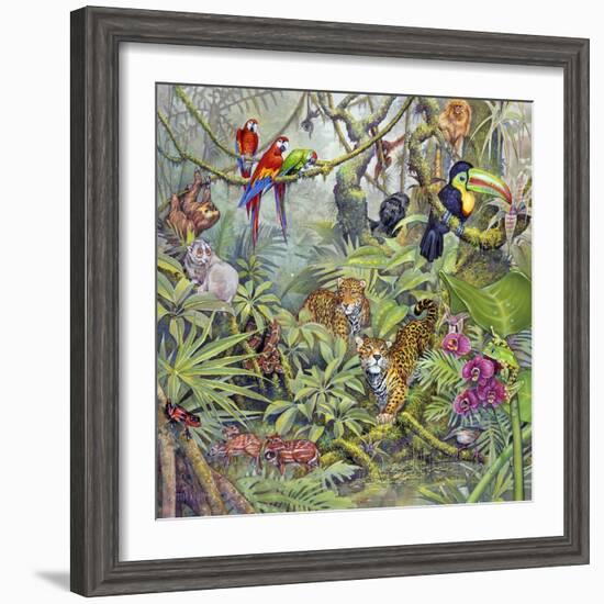 Jungle-Tim Knepp-Framed Giclee Print