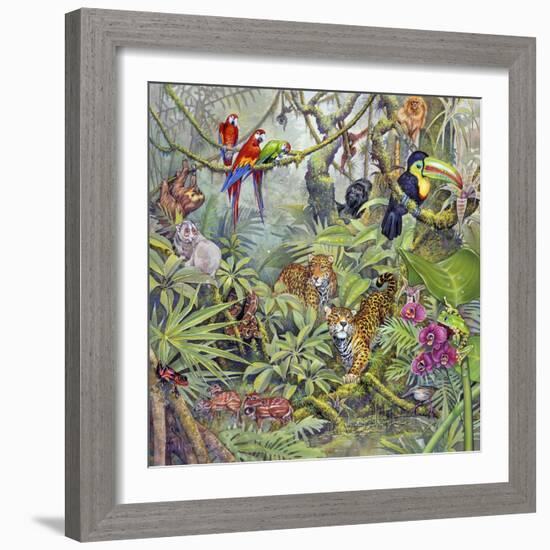 Jungle-Tim Knepp-Framed Giclee Print