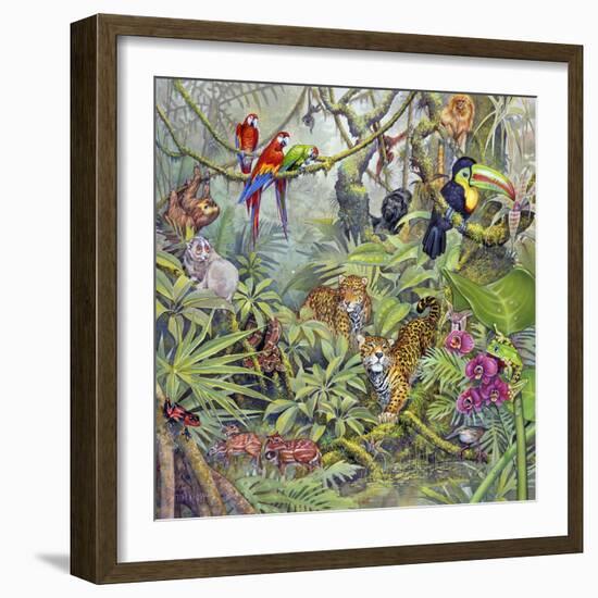 Jungle-Tim Knepp-Framed Giclee Print