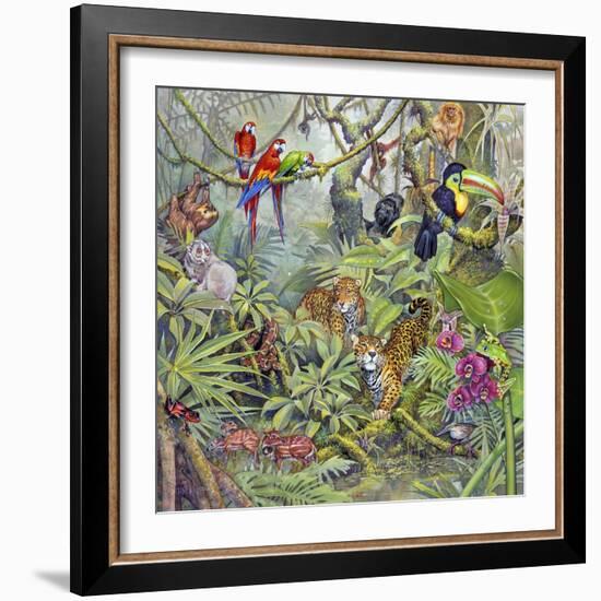 Jungle-Tim Knepp-Framed Giclee Print