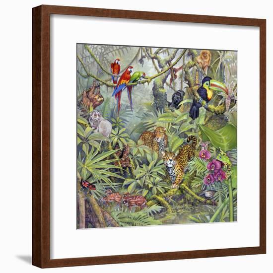 Jungle-Tim Knepp-Framed Giclee Print