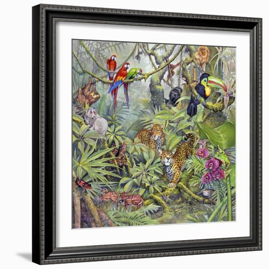 Jungle-Tim Knepp-Framed Giclee Print