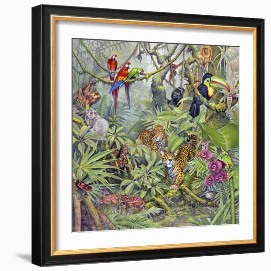 Jungle-Tim Knepp-Framed Giclee Print