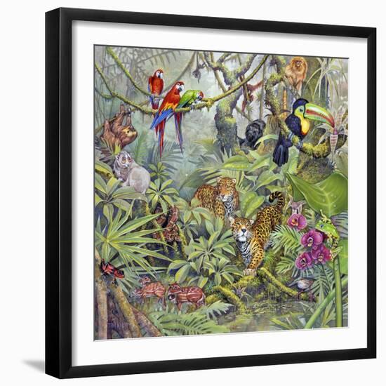 Jungle-Tim Knepp-Framed Giclee Print