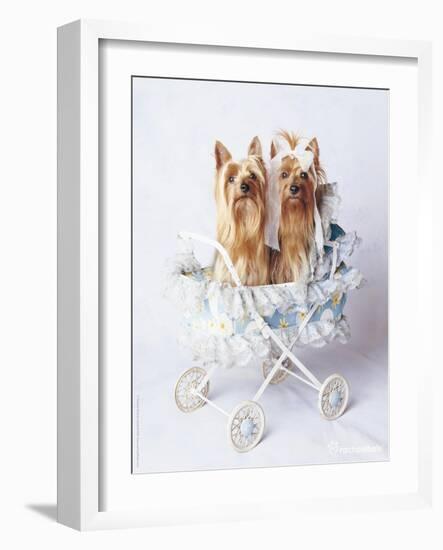 Junior and Bobo-Rachael Hale-Framed Art Print