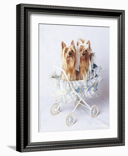 Junior and Bobo-Rachael Hale-Framed Art Print