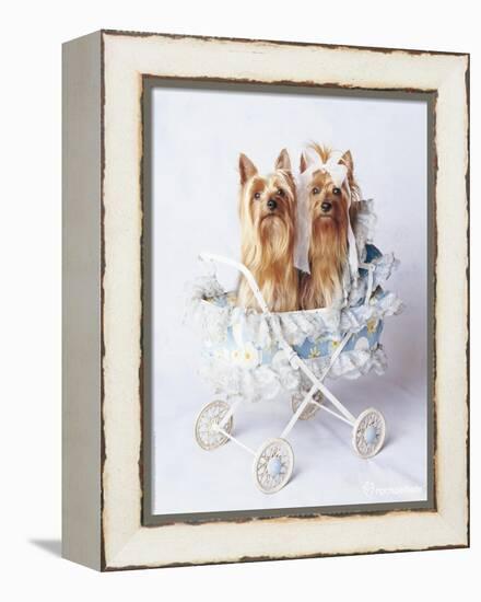 Junior and Bobo-Rachael Hale-Framed Premier Image Canvas