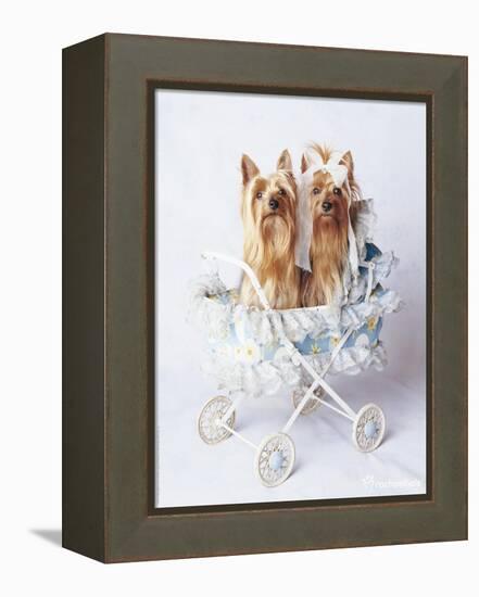 Junior and Bobo-Rachael Hale-Framed Premier Image Canvas