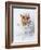 Junior and Bobo-Rachael Hale-Framed Photographic Print