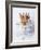 Junior and Bobo-Rachael Hale-Framed Photographic Print