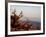 Juniper at Sunset at Keys View, Joshua Tree National Park, California-James Hager-Framed Photographic Print