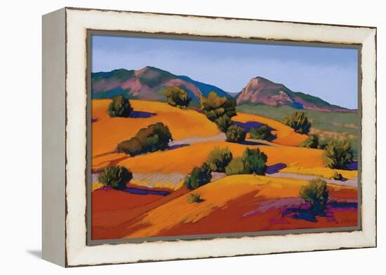 Juniper Hills-Mary Silverwood-Framed Stretched Canvas