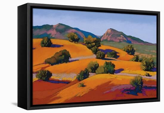 Juniper Hills-Mary Silverwood-Framed Stretched Canvas