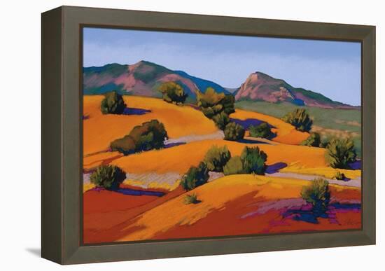 Juniper Hills-Mary Silverwood-Framed Stretched Canvas