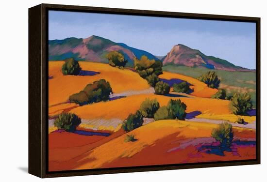 Juniper Hills-Mary Silverwood-Framed Stretched Canvas