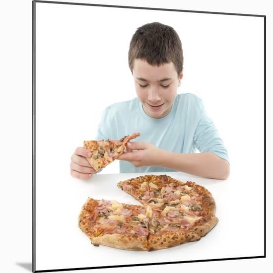 Junk Food-Science Photo Library-Mounted Premium Photographic Print