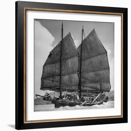 Junk Leaving Harbor with Patchwork Sails Up-Jack Birns-Framed Photographic Print