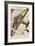 Junkers G38, Large German Freight Plane-B und H Romer-Framed Premium Giclee Print