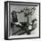 Junkyard Sculpture, c. 1950-Brett Weston-Framed Photographic Print