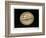 Jupiter, 1880-Science, Industry and Business Library-Framed Photographic Print