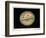 Jupiter, 1880-Science, Industry and Business Library-Framed Photographic Print