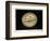 Jupiter, 1880-Science, Industry and Business Library-Framed Photographic Print