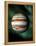 Jupiter And Earth, Artwork-Victor Habbick-Framed Premier Image Canvas