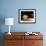 Jupiter And the Galilean Moons Seen From Callisto-Science Photo Library-Framed Photographic Print displayed on a wall