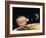 Jupiter And the Galilean Moons Seen From Callisto-Science Photo Library-Framed Photographic Print