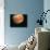 Jupiter, Europa, & Io-null-Photographic Print displayed on a wall