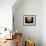 Jupiter, Europa, & Io-null-Framed Photographic Print displayed on a wall