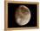 Jupiter's Moon Ganymede-null-Framed Premier Image Canvas