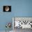 Jupiter's Moon Ganymede-null-Framed Premier Image Canvas displayed on a wall