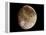 Jupiter's Moon Ganymede-null-Framed Premier Image Canvas