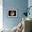 Jupiter's Moon Ganymede-null-Framed Photographic Print displayed on a wall